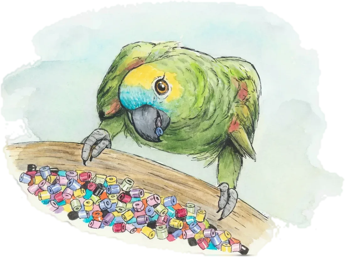 Akvarellillustration av papegojan Diego som sitter på en pinne framför en hög med färgglada pärlor.